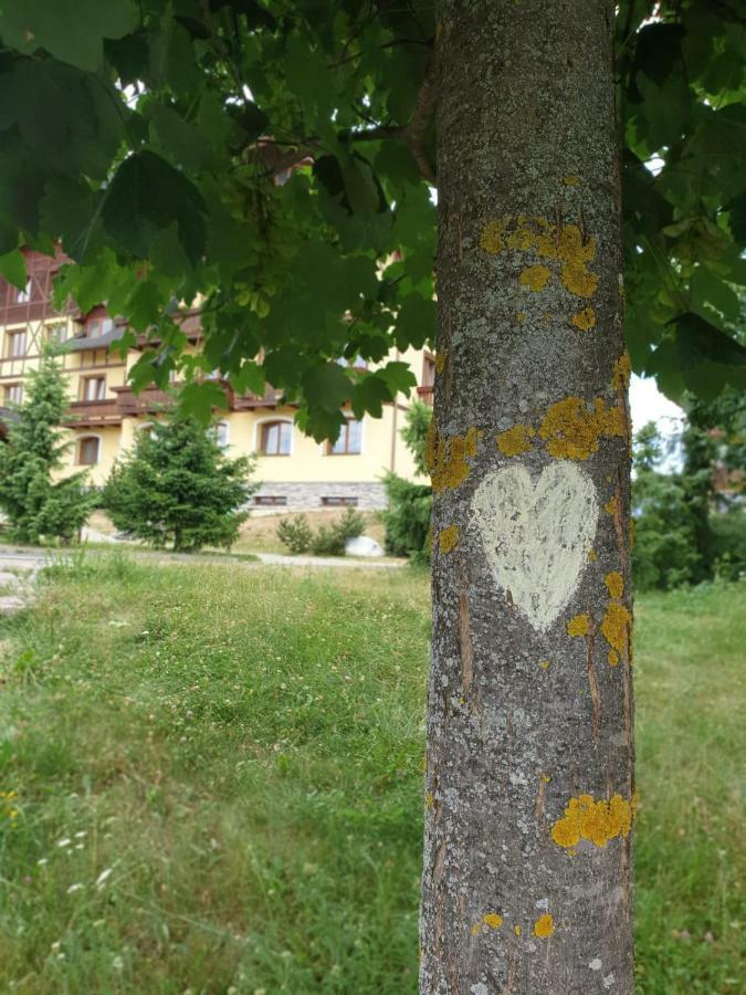 Apartman Erika Vel'ka Lomnica Luaran gambar